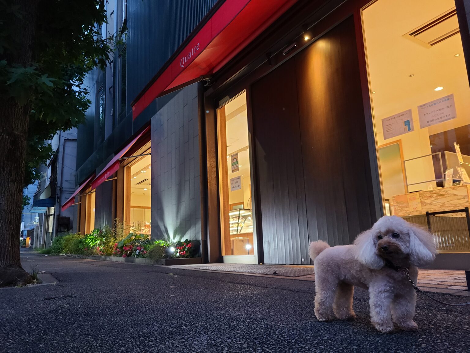 キャトルTOP画像