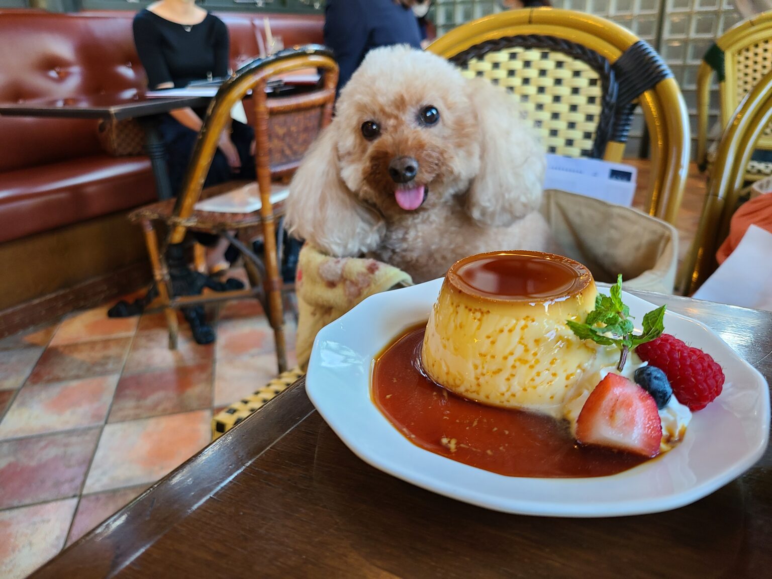 カフェミケランジェロTOP画像