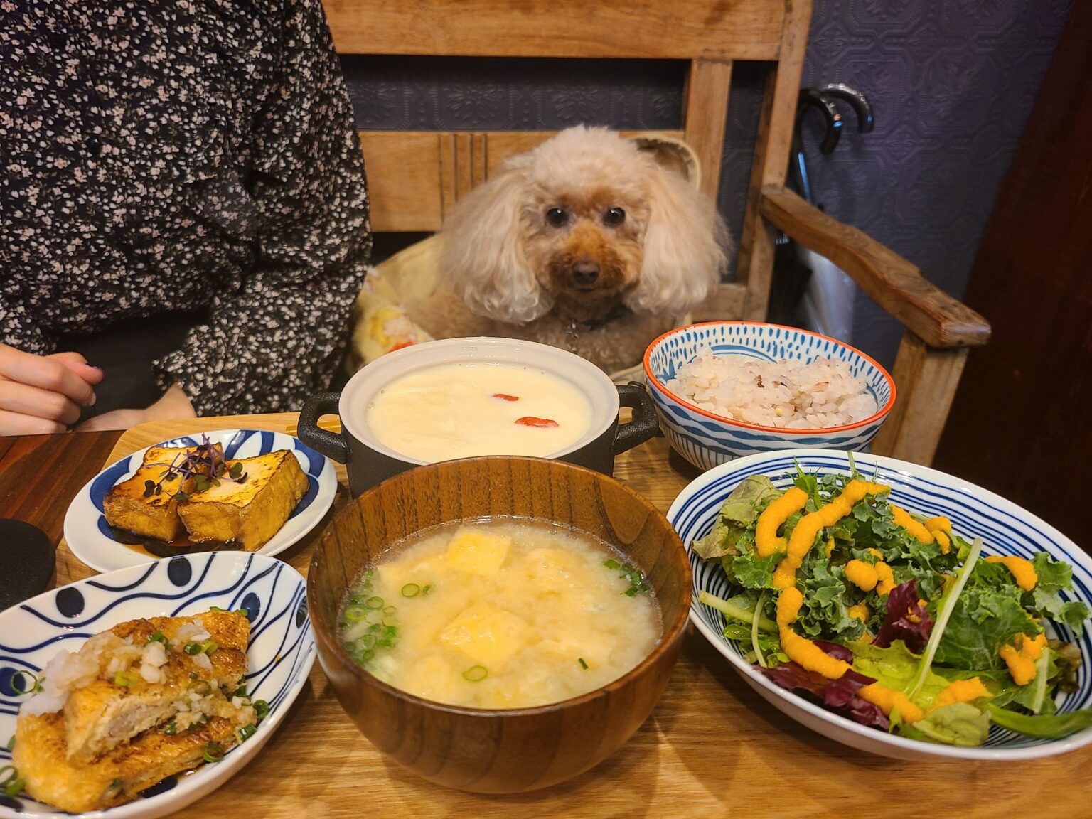 balloom定食とモカ画像