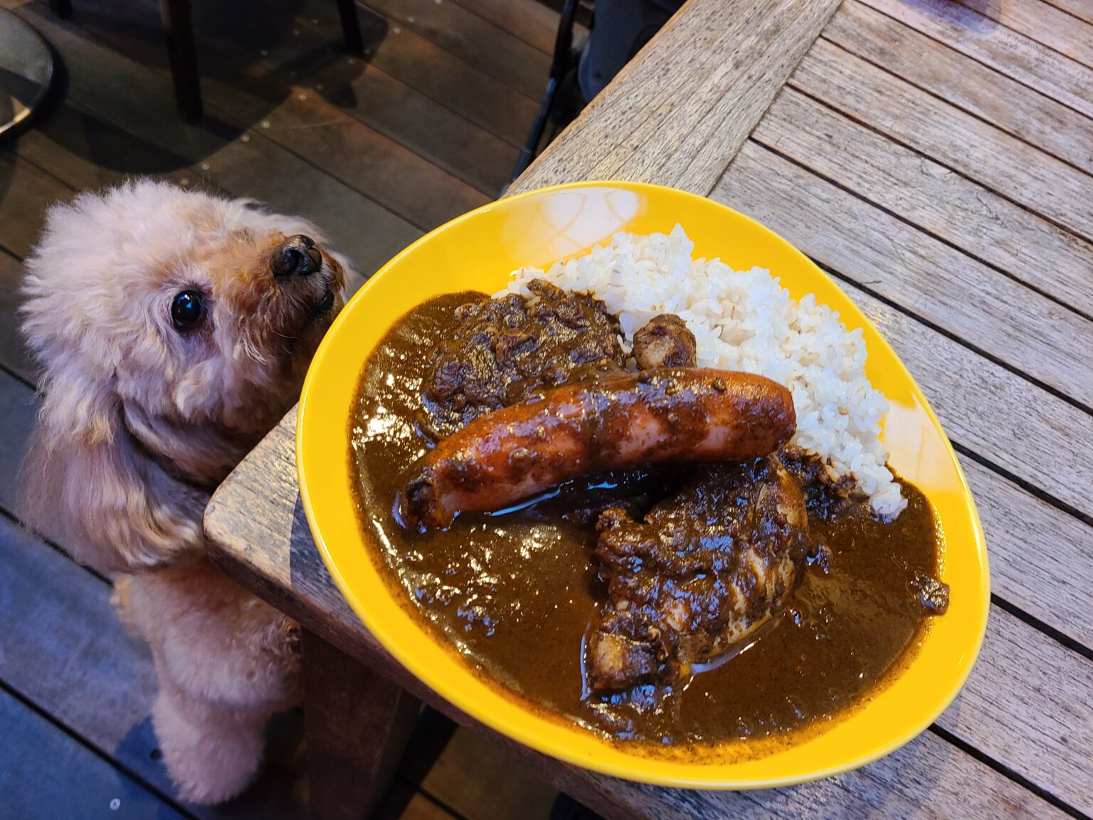 アッチャカーナカレーモカ1
