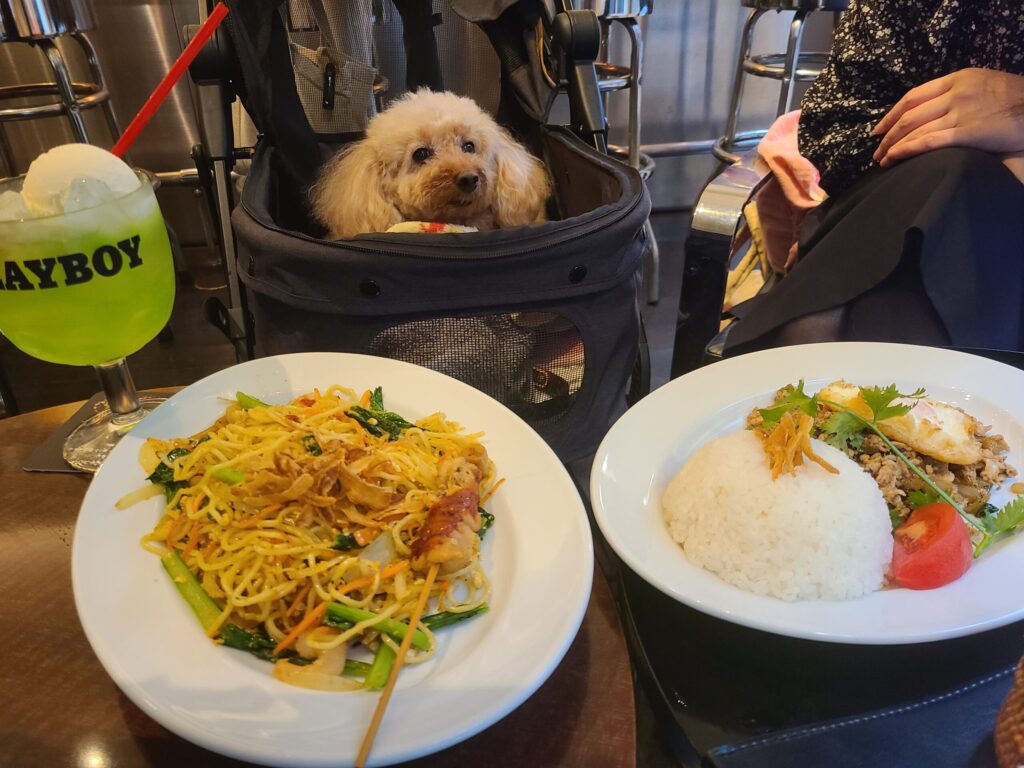 店内犬ok ファイヤーキングカフェ 代々木上原の芸能人御用達カフェ 夜は ディナー Bar 昼は電源wifi完備のノマド使いが吉 直近駐車場アリ Dog Eats