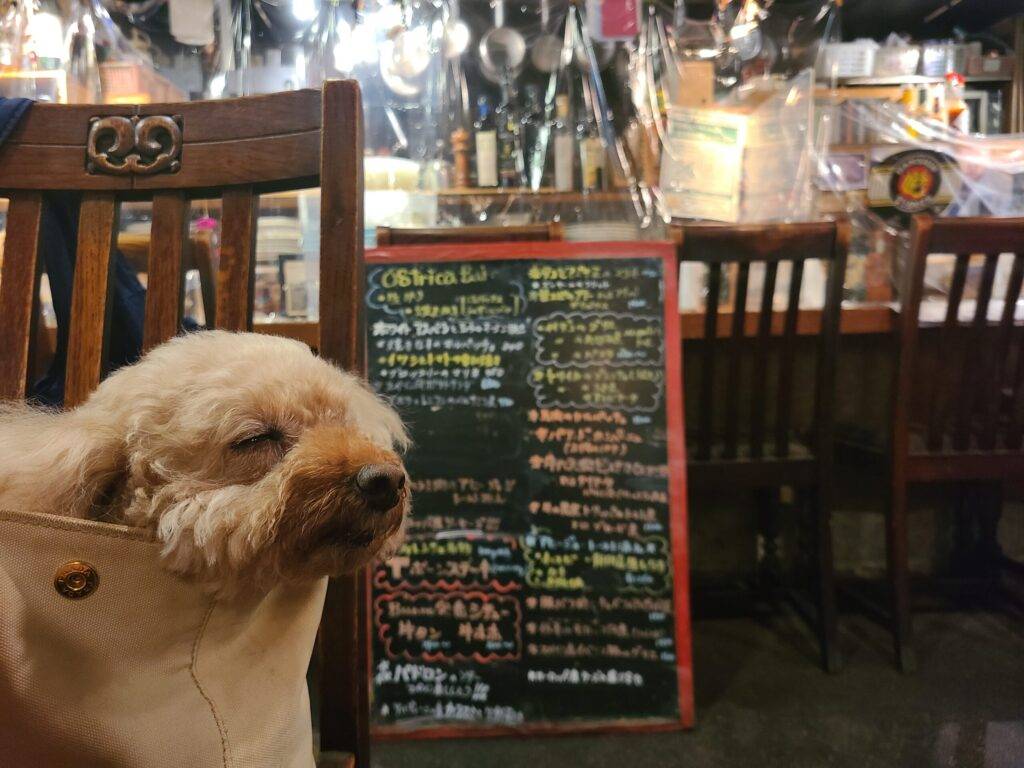 オステリアボーノモカ画像